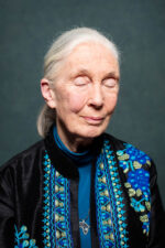 Jane Goodall. British primatologist, anthropologist, and conservationist renowned for her pioneering research on wild chimpanzees. Founder of the Jane Goodall Institute, she is a global advocate for wildlife conservation, environmental protection, and sustainable development. Studio portrait on a grey backdrop. London. Photograph by David Levene 27 October 2017