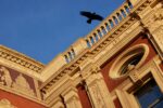The Royal Albert Hall. London. Photograph by David Levene 2 December 2020