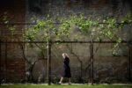 Holy See Giardino Mistico. 61st International Art Exhibition, Biennale di Venezia, 'In Minor Keys'. Venice, Italy. Photograph by David Levene 3/5/26